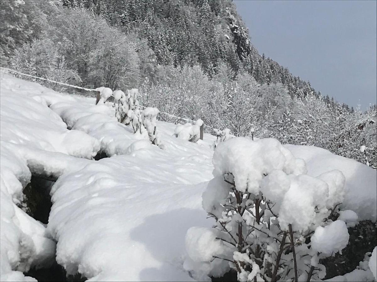 Vila Le Blanc Nordique Le Bouchet-Mont Charvin Exteriér fotografie